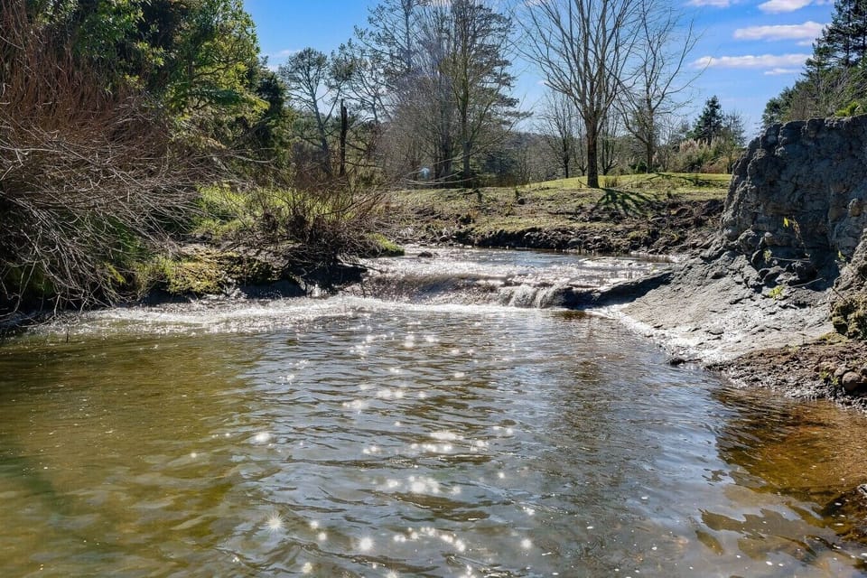 Take a refreshing dip in the creek that flows through the property