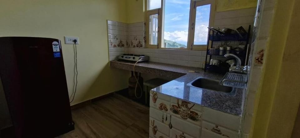 Apartment, Balcony, City View | Private kitchen