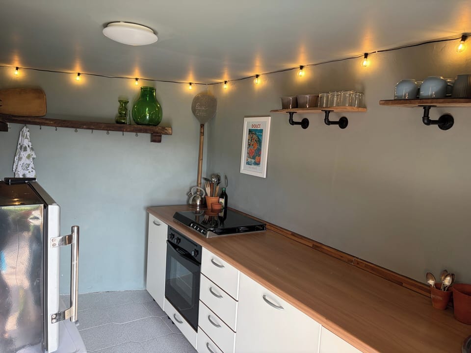 Fridge, oven, stovetop, dishwasher