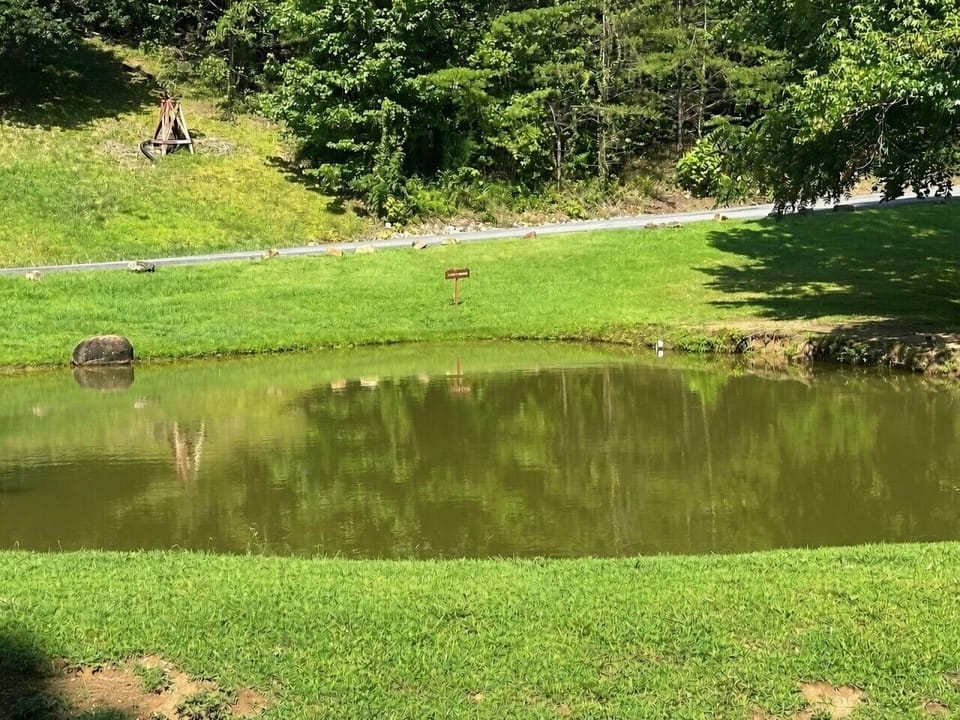 Catch & Release Fishing Pond