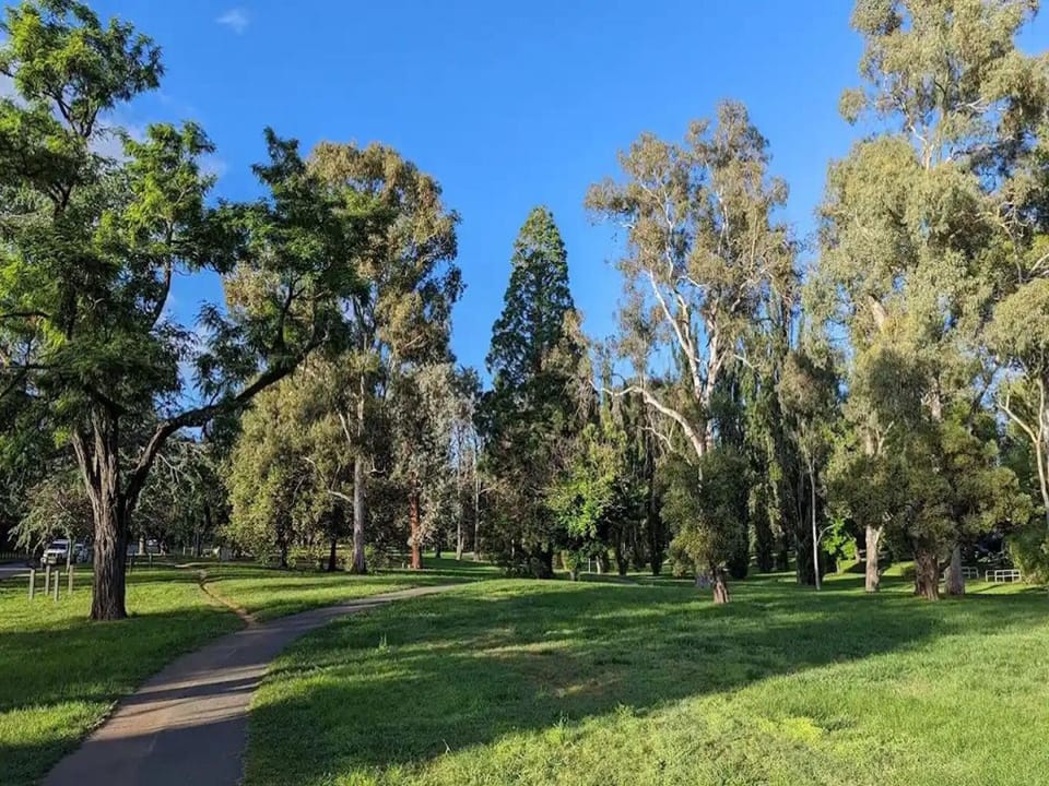 Telopea Park & Green Spaces