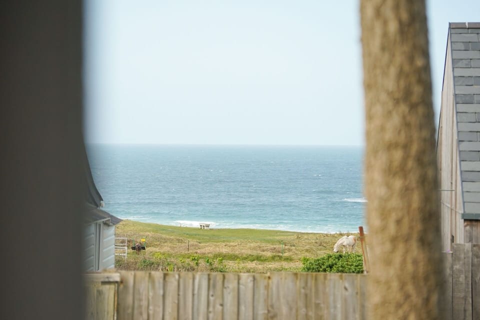 Sea views and horses near Gwithian Towans by Driftwood