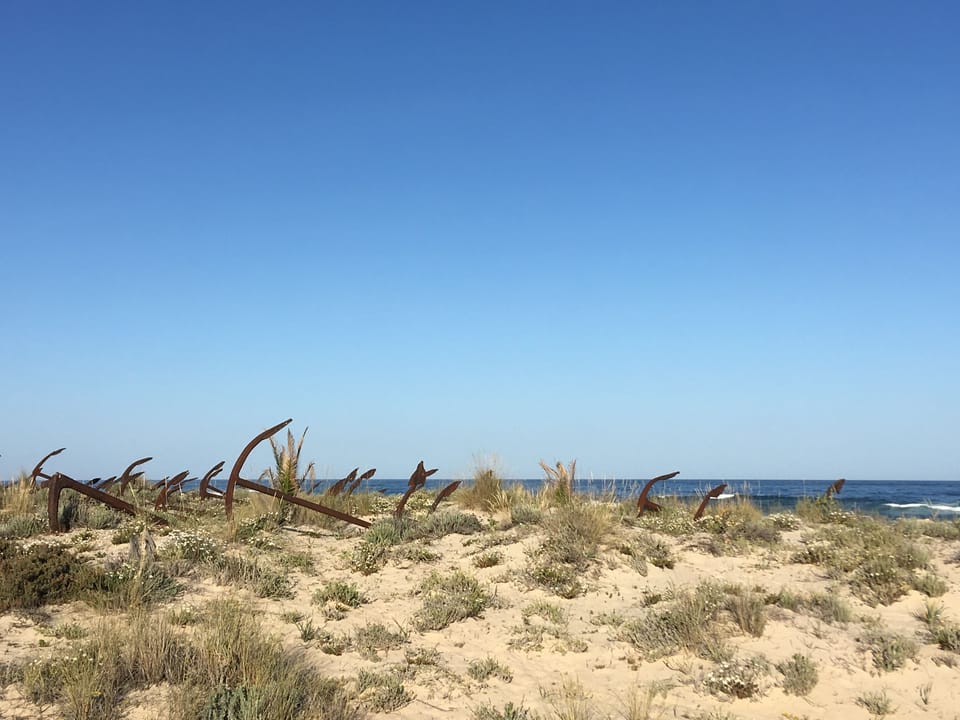 Beach