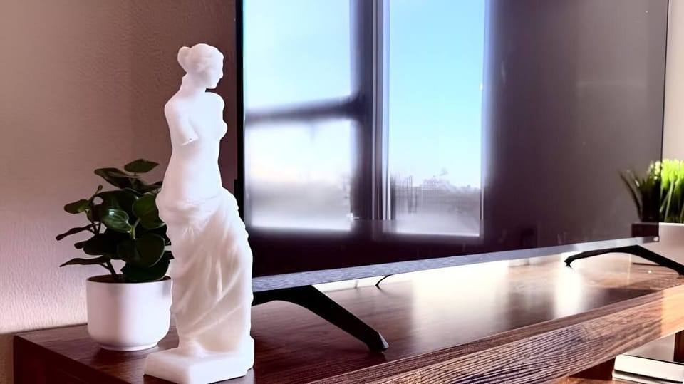 Television