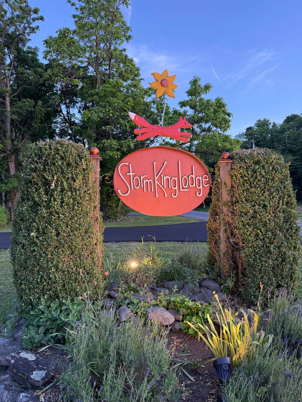 IMG 7929