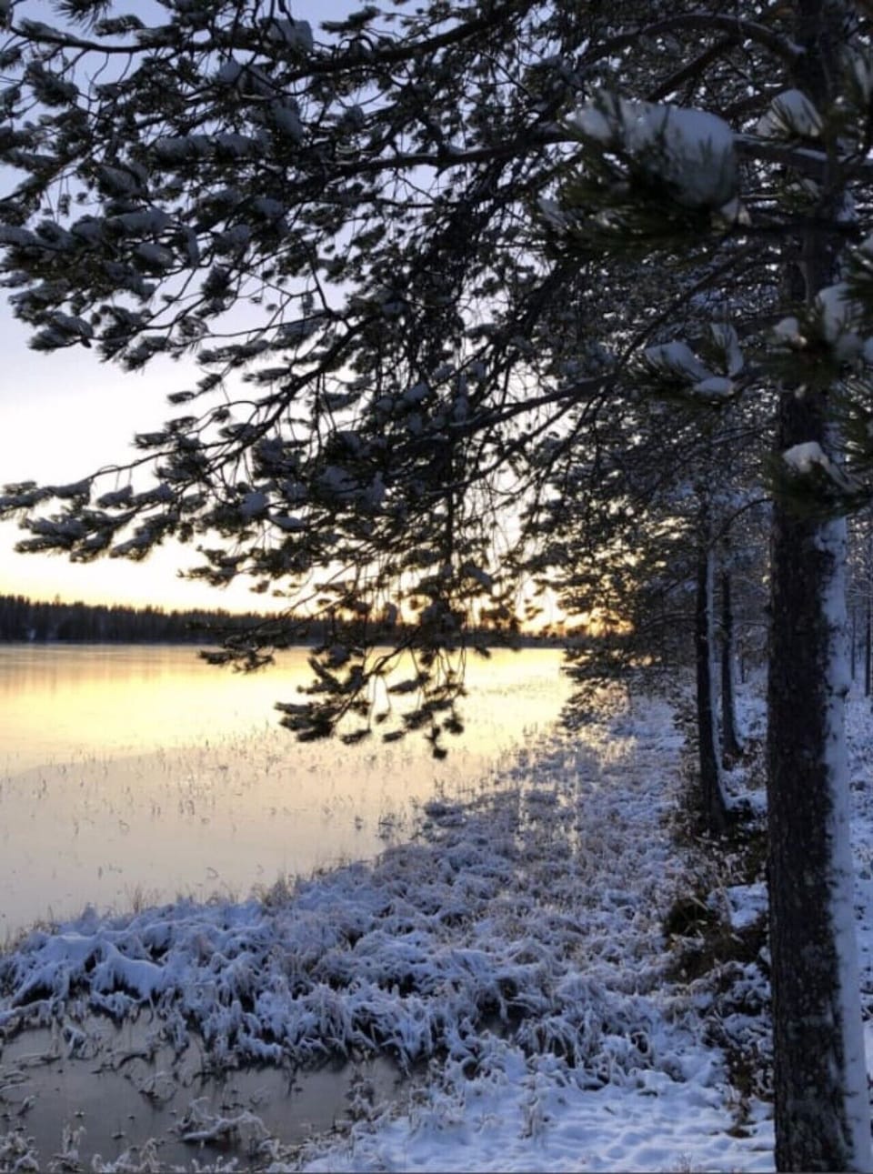 Winter evening light over the snowy lakeshore.