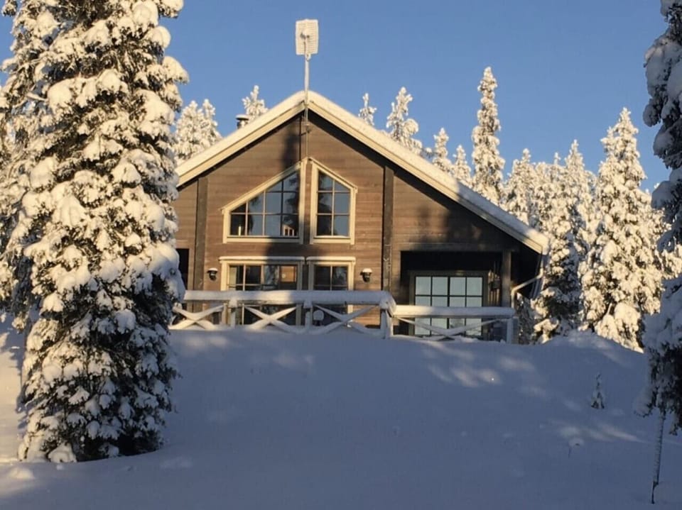 The villa in winter, framed by snow-covered spruce trees.