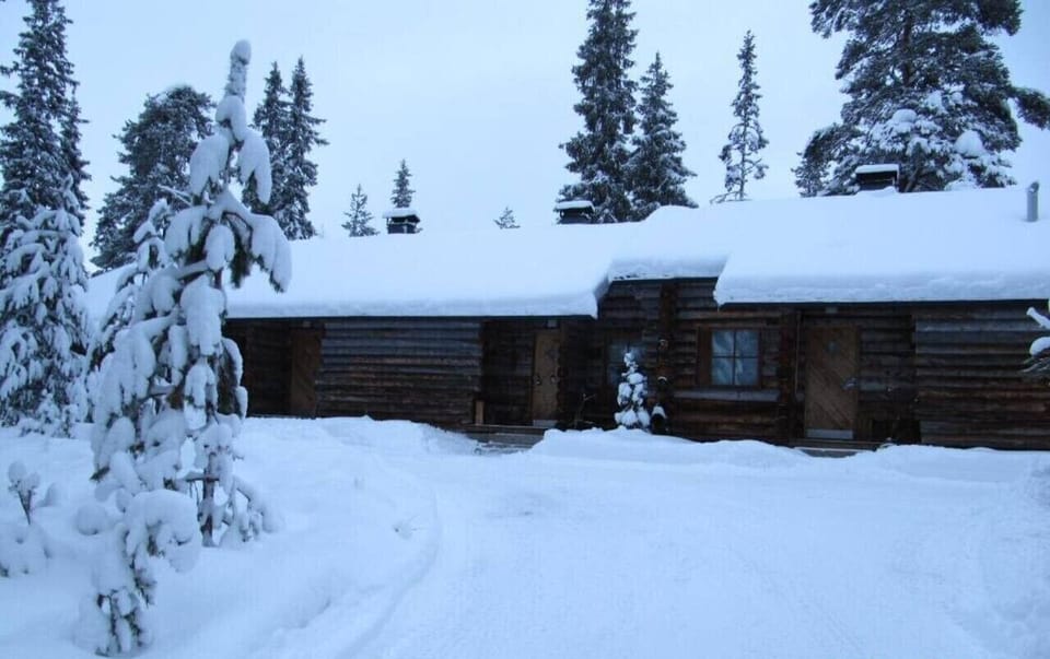 The log building in winter, surrounded by deep snow and snow-covered trees.