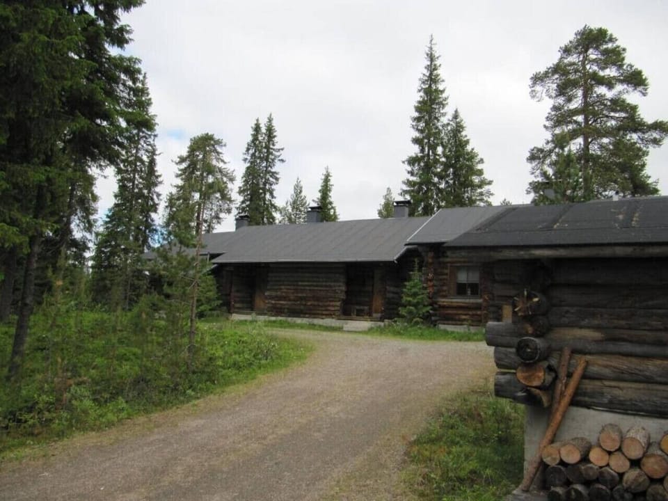 The log building in summer, set among tall spruce trees along a gravel path.