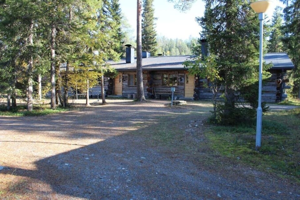 The property seen from the driveway, set among pines and birches.