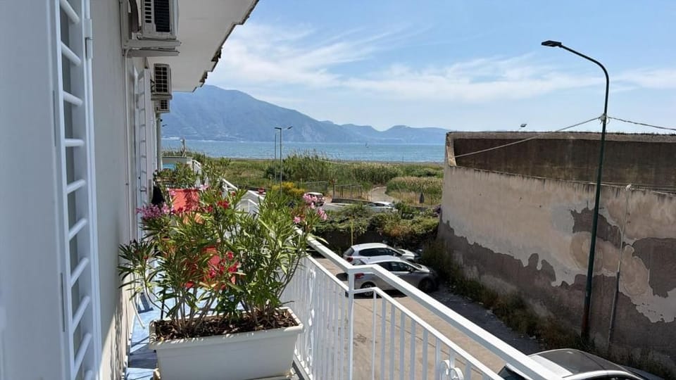 Turchese | Property grounds