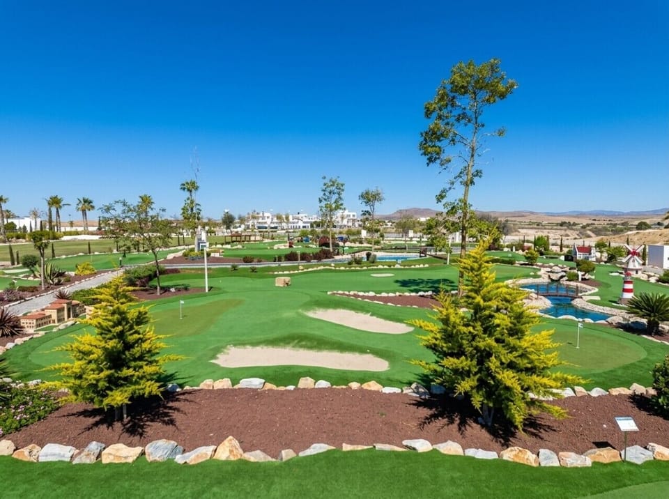 24082026_6