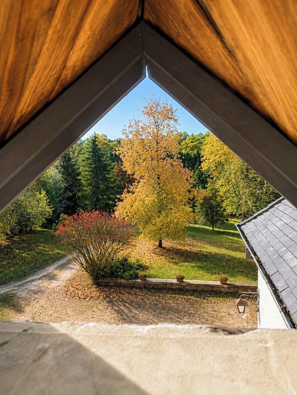View from property