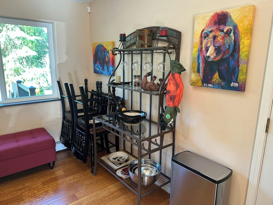 Additional Chairs for Dining Table