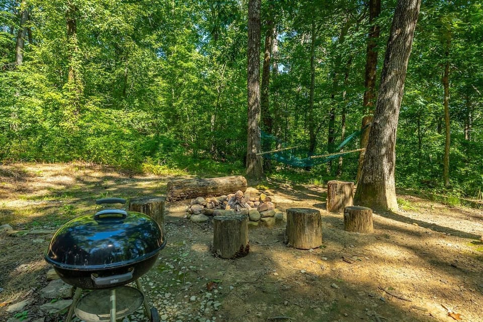 Cabin 1 - Fire-pit seating, a grill, and a hammock