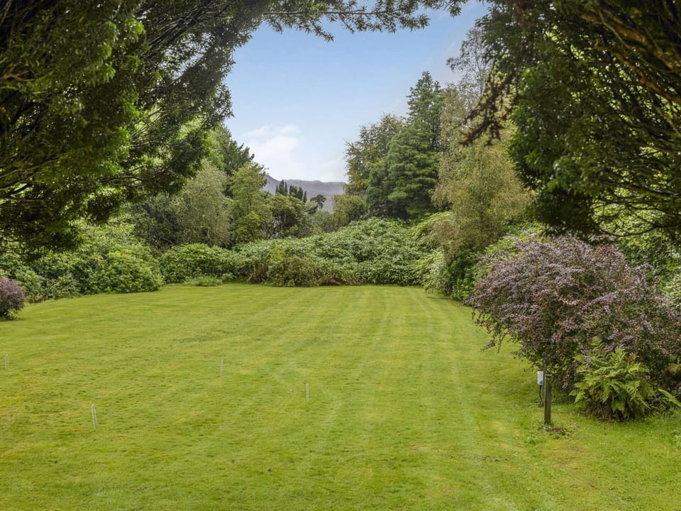 Green, Tree, Grass, Natural Environment, Leaf, Vegetation, Grassland, Shrub, Natural Landscape, Garden