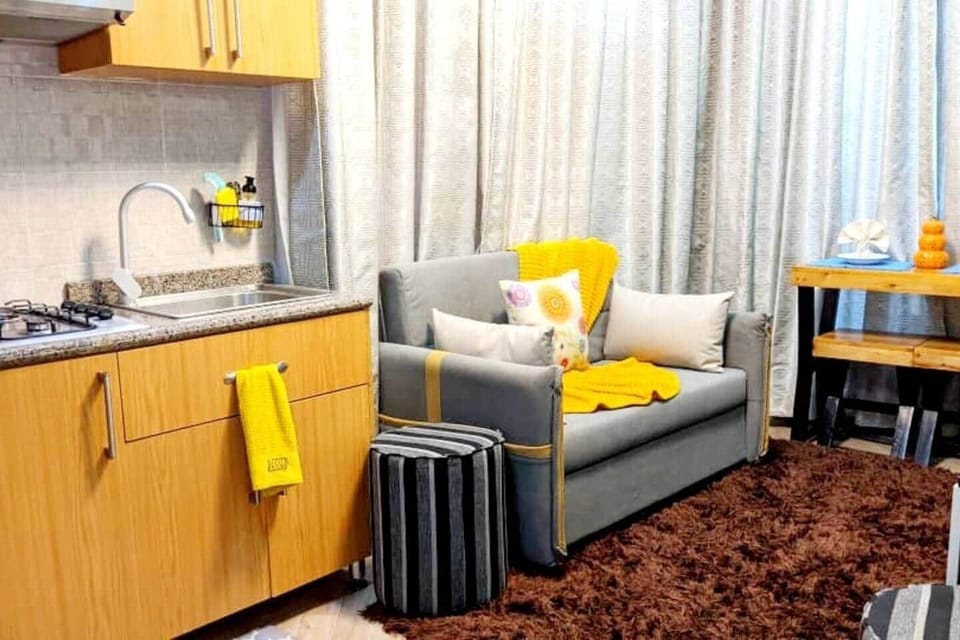 Living room area with sofa bed