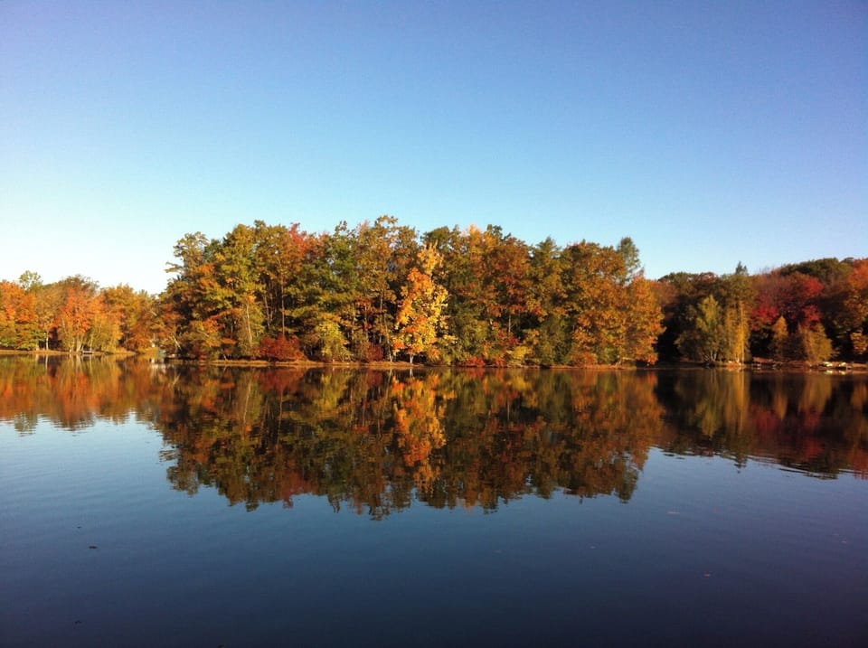 Deer Lake in the Fall