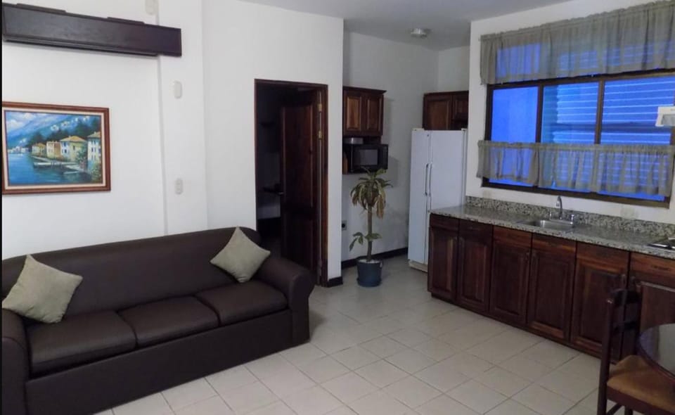 Junior Apartment, 1 Bedroom, Non Smoking, City View | Private kitchen | Microwave
