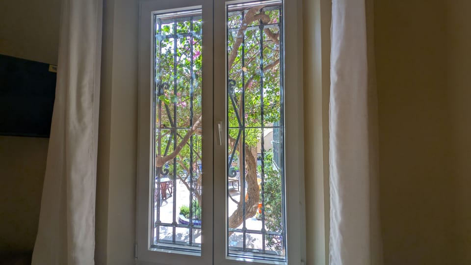 Large window with decorative ironwork brings natural light and leafy views into the apartment.
