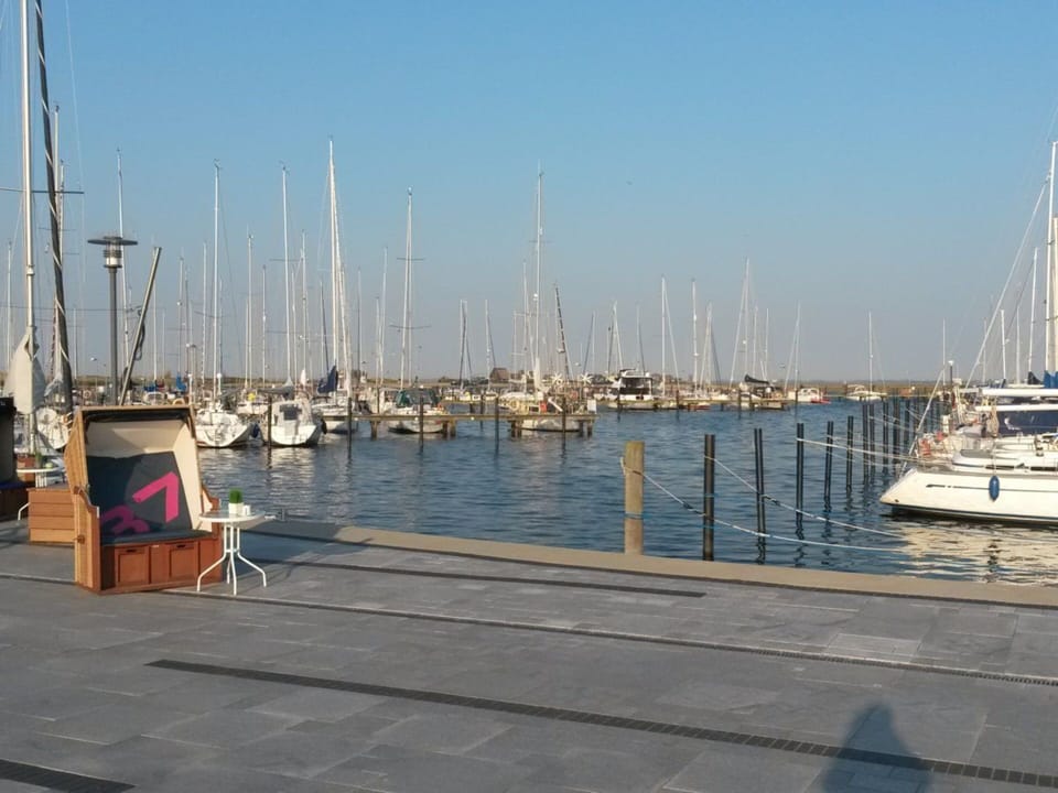 House | Marina