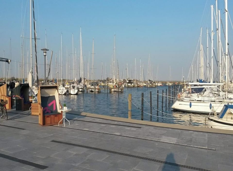 House | Marina