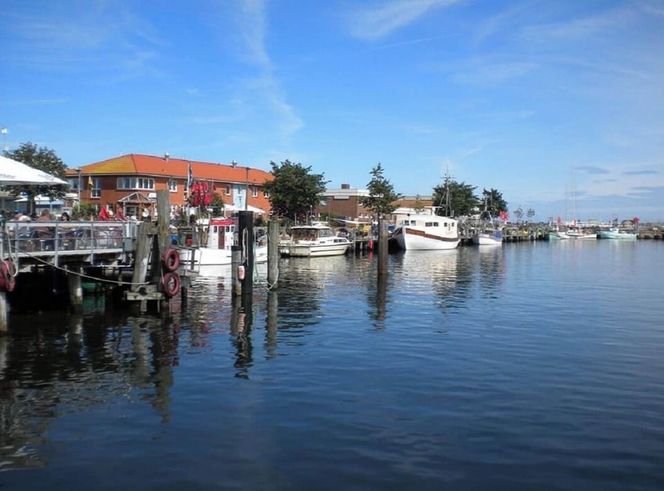 House | Marina