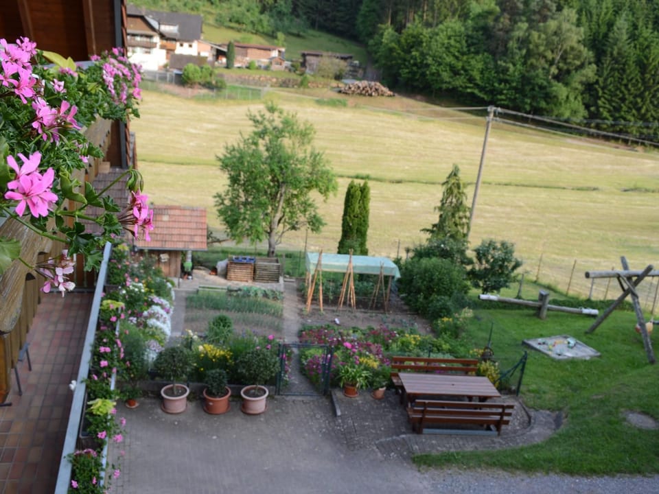 View from Holiday Home [summer]