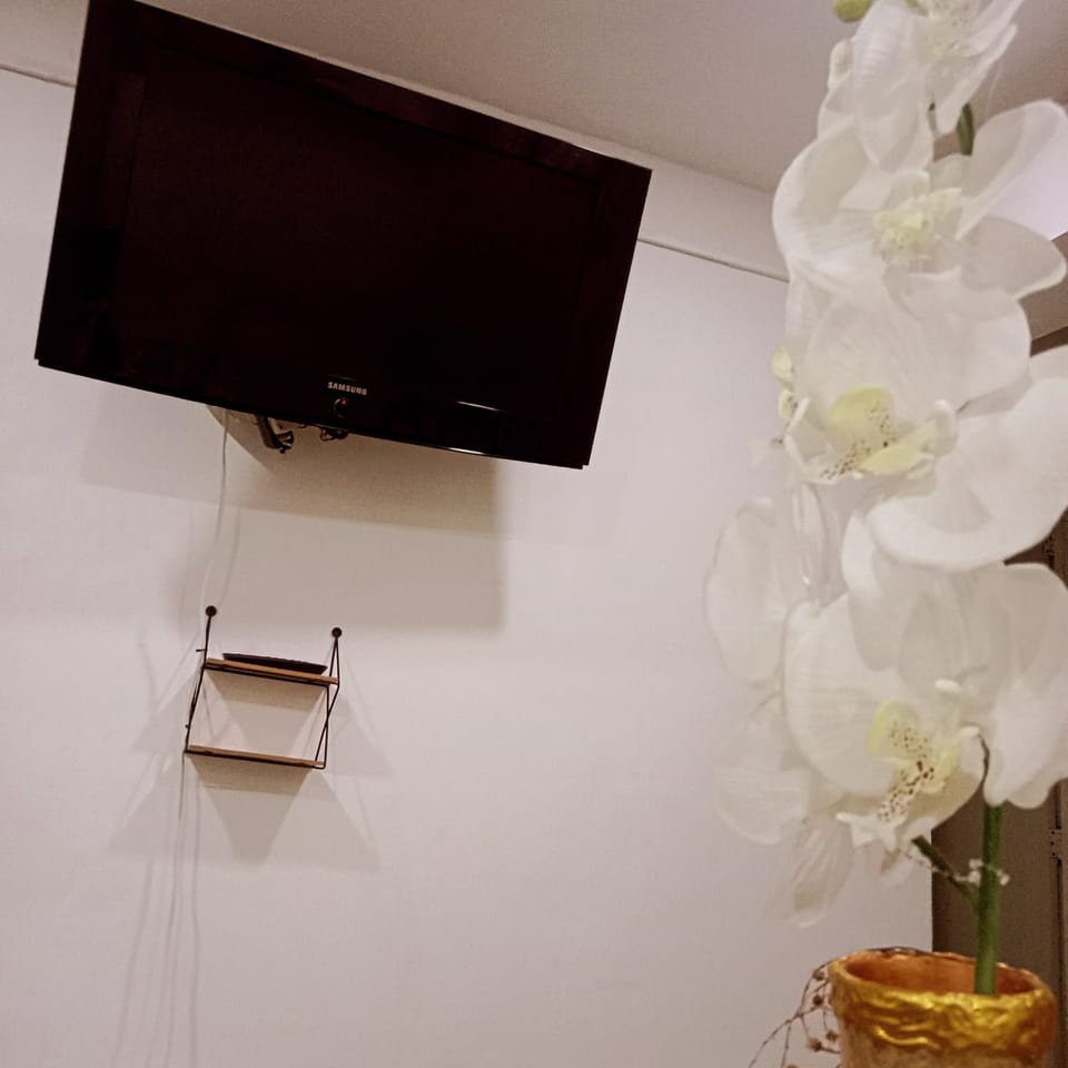 Television