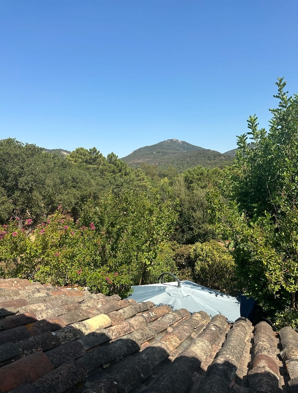 View from property