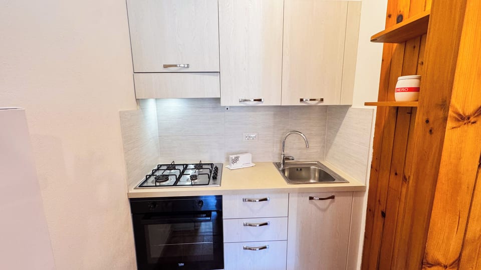 Apartment (2 Bedrooms) | Private kitchen | Oven, electric kettle, highchair