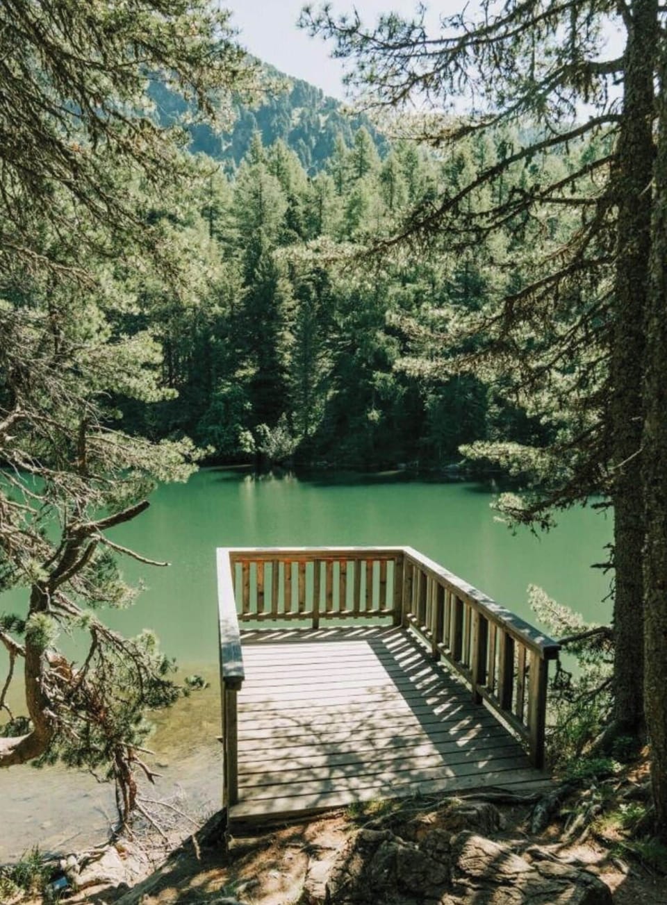 Chalet | Property grounds
