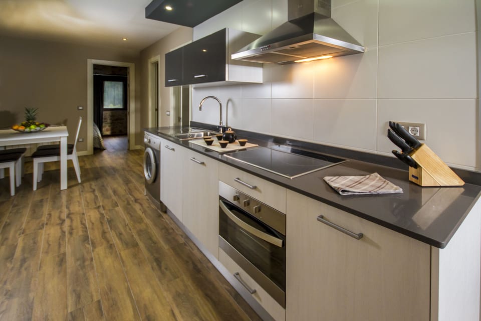 Apartment, 2 Bedrooms | Private kitchen | Full-size fridge, microwave, stovetop, coffee/tea maker