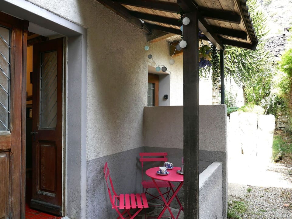 Door, Wood Stain, Hardwood, Home Door, Houseplant, Backyard, Outdoor Furniture, Daylighting