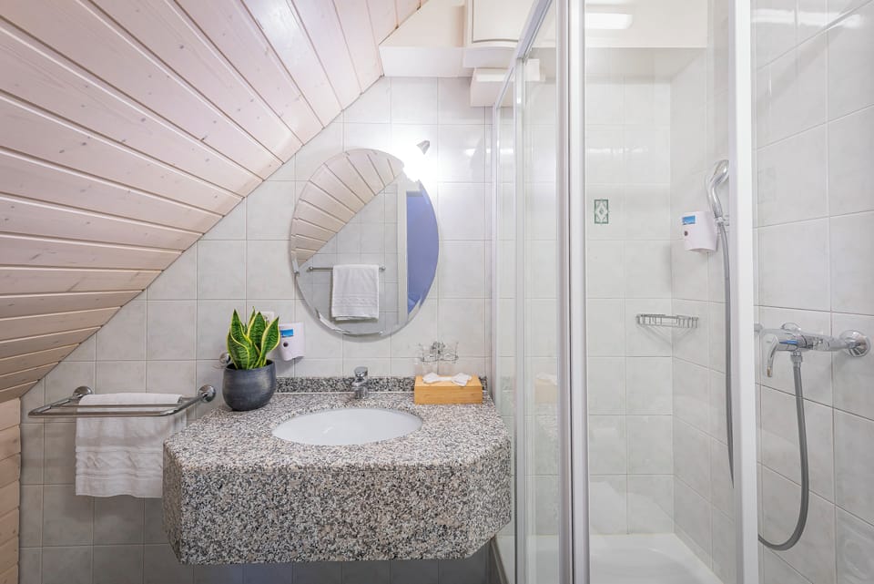 Deluxe Double Room | Bathroom | Shower, free toiletries, hair dryer, towels