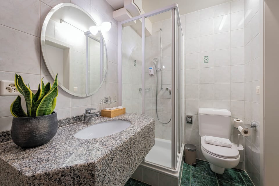 Deluxe Double Room | Bathroom | Shower, free toiletries, hair dryer, towels