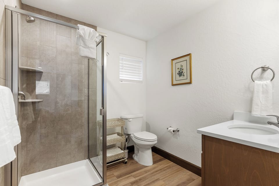 Full bathroom featuring a sleek walk-in shower.