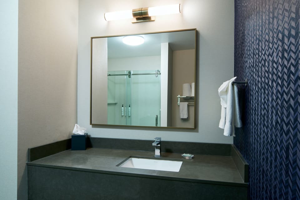 Combined shower/tub, free toiletries, hair dryer, towels