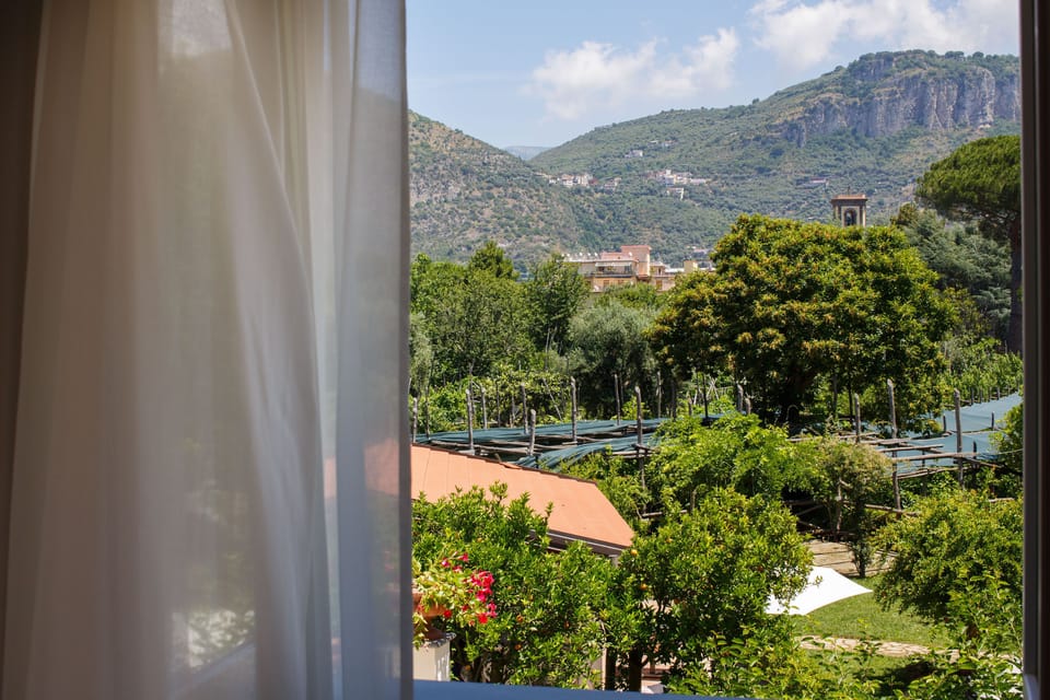 View from room