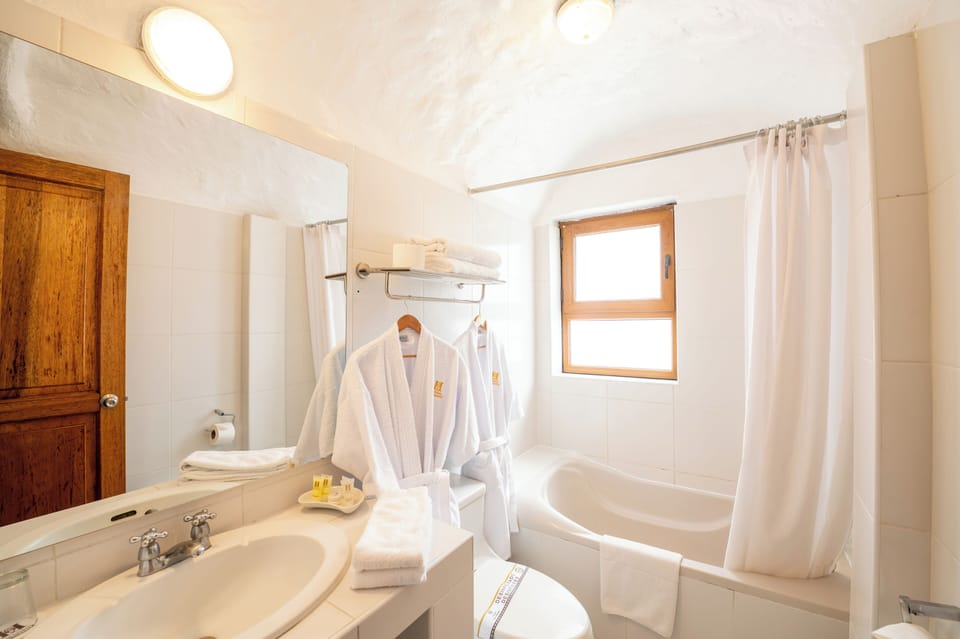 Combined shower/tub, hair dryer