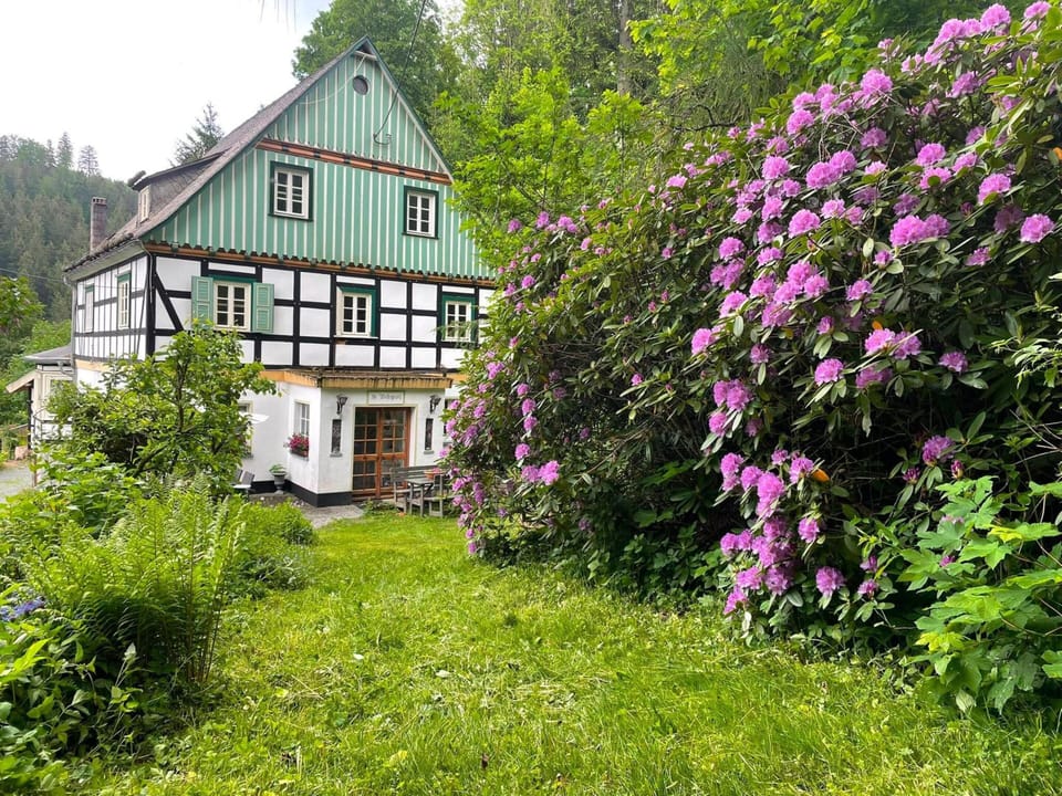 Charming Apartment With Mountain Views in Nordenau for 6 Apartment in Winterberg