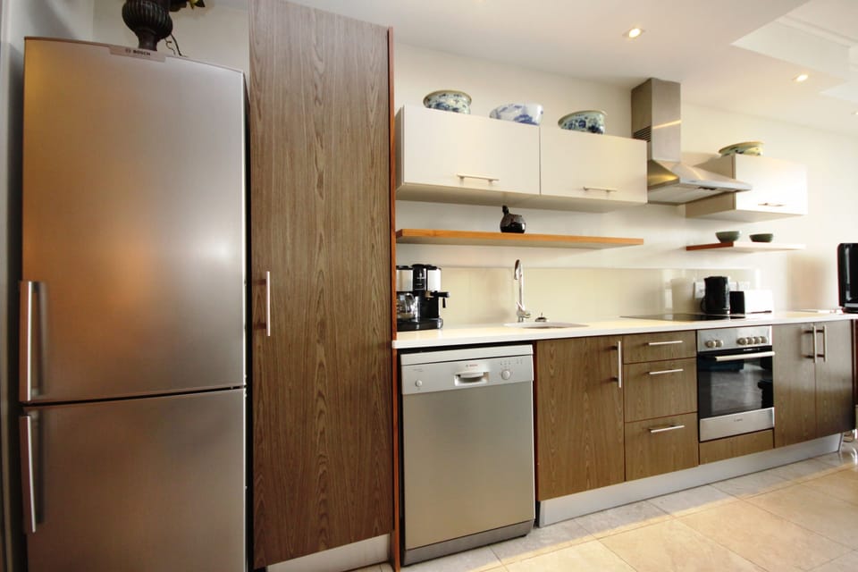 Exclusive Apartment, 1 Room, Canal View | Private kitchen | Full-size fridge, microwave, oven, stovetop