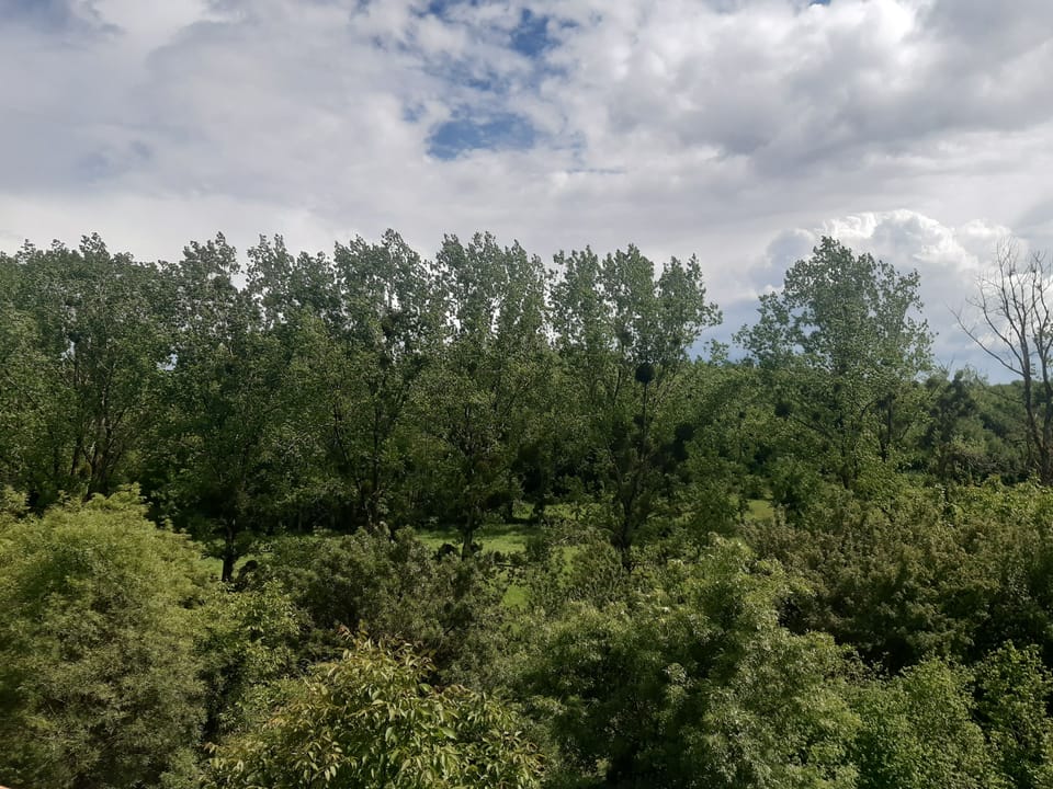 Vue sur le bas du domaine