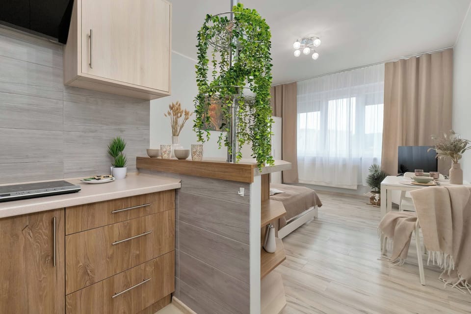 The modern kitchenette displays clean wooden cabinetry paired with a hanging green plant. The bright living and sleeping space extends into the background.