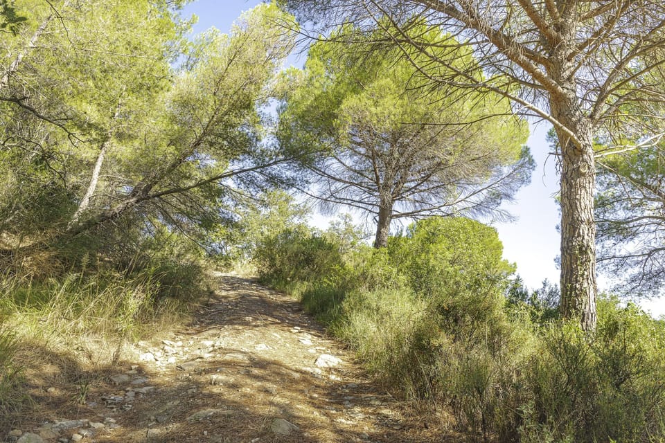 Immediate Surroundings [summer] (<1 km)