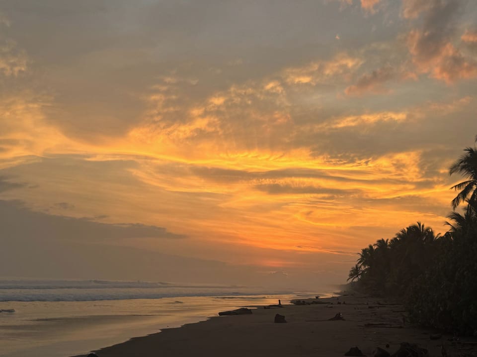 Sunset over the beach, palm trees on the shore