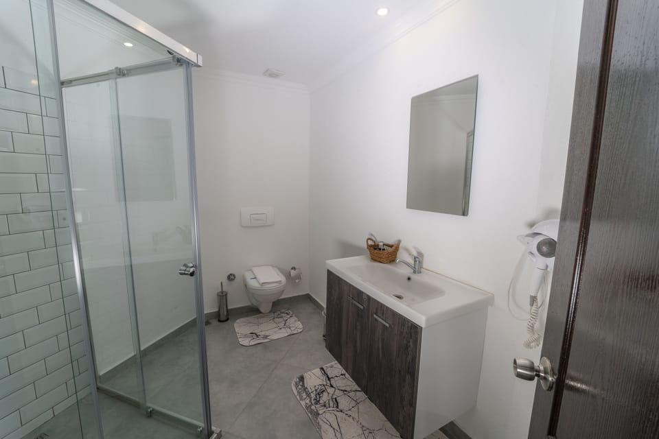 Eco-friendly toiletries, hair dryer, slippers, towels