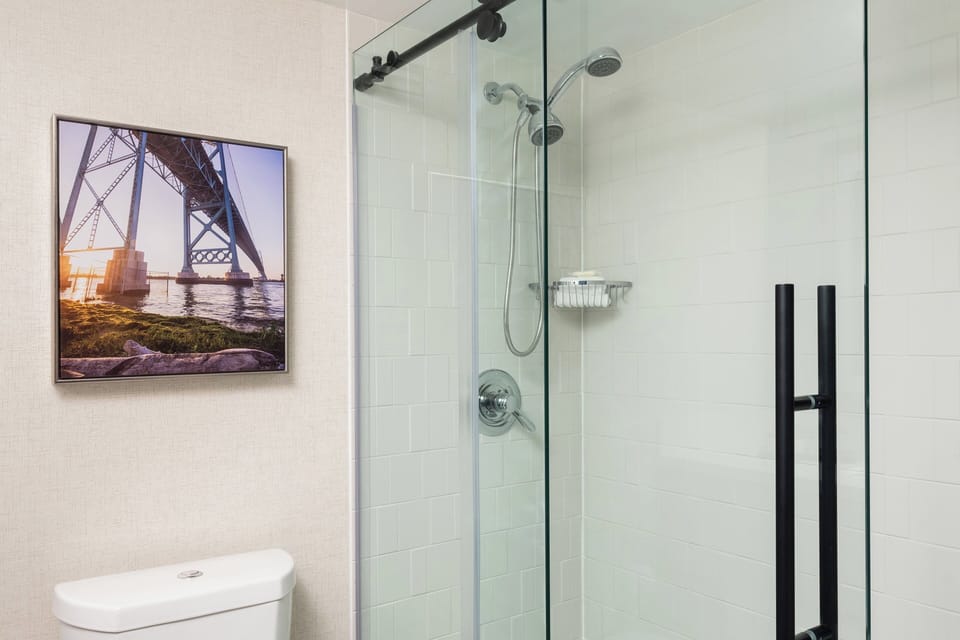 Free toiletries, hair dryer, towels