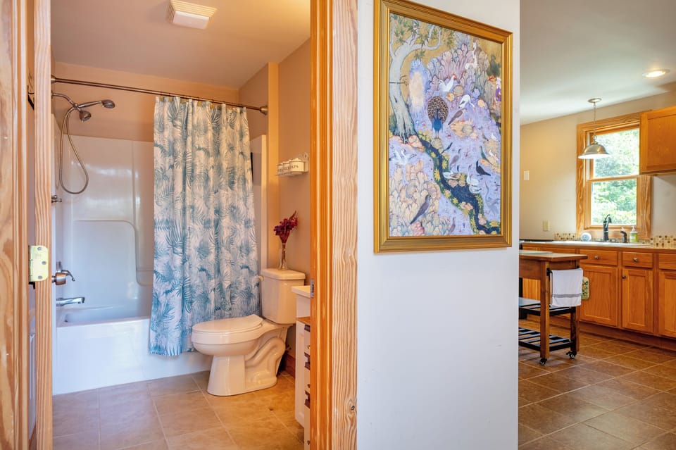 Clean, full bathroom with a shower/tub combination, printed shower curtain, vanity, and toilet.