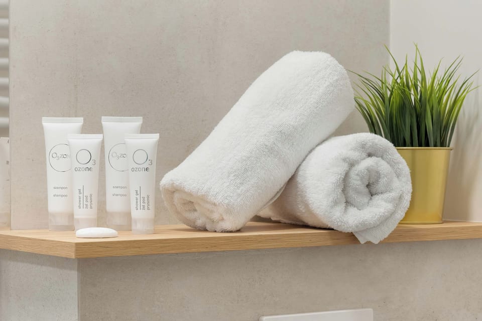 A detailed vanity shelf presents neatly rolled white bath towels and complimentary miniature toiletries beside a small potted green plant. This close-up highlights the fresh and well-prepared amenities provided for guests.